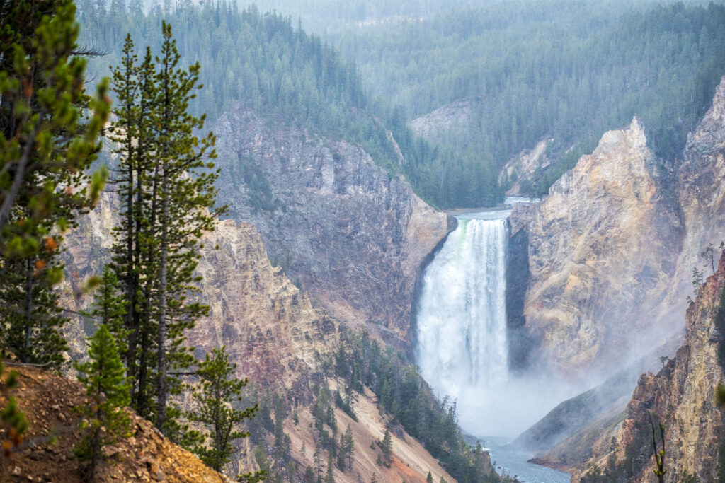 Zachwycające widoki na jedną z najpopularniejszych atrakcji parku Yellowstone