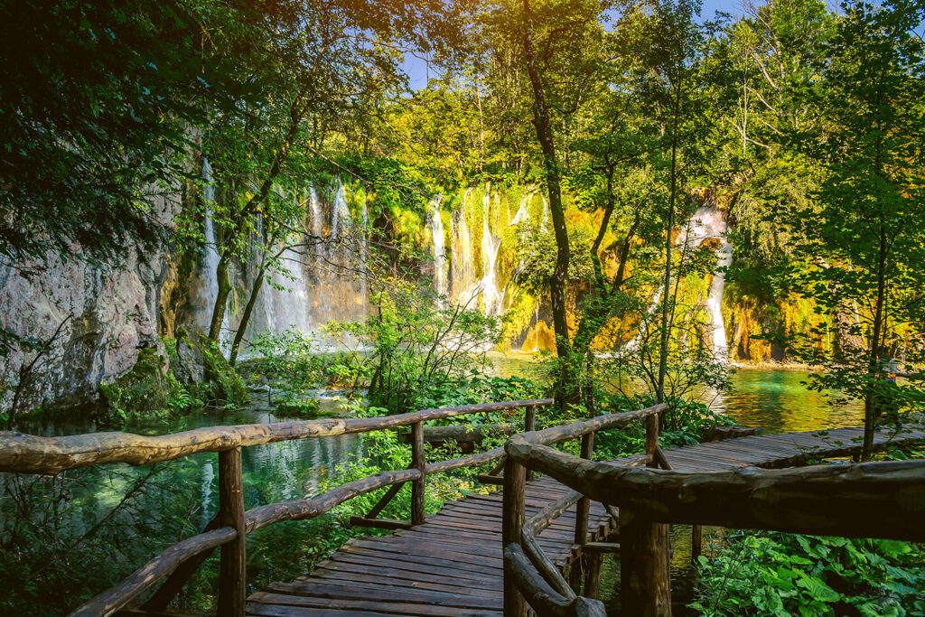 Park oferuje swoim gościom wiele tras, dzięki którym z bliska mogą się oni przyjrzeć tamtejszym cudom natury.