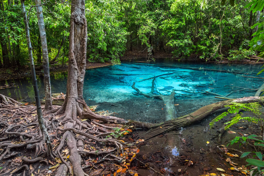 Blue Pool jest zasilany przez gorące podziemne źródło.