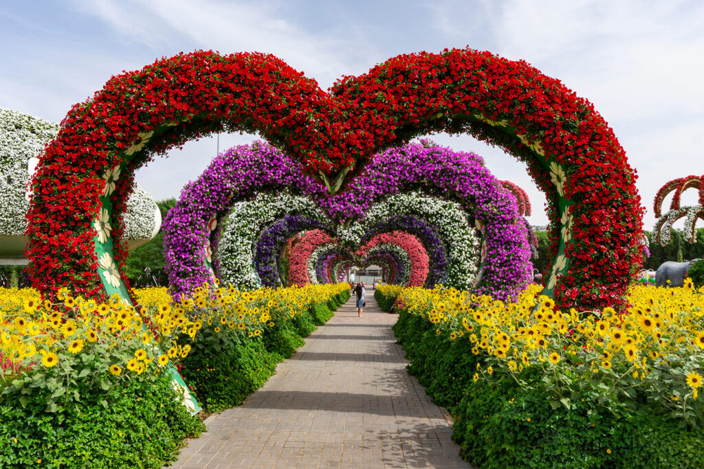 Hearts Passage - Tunel kwiatowy i fantazyjne instalacje Dubai Miracle Garden