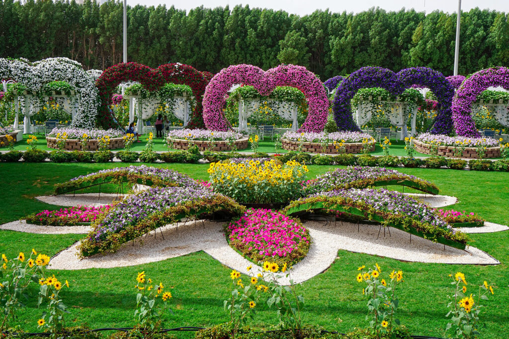 Dubai Miracle Garden to rekordzista Księgi Rekordów Guinnessa w wielu kategoriach.