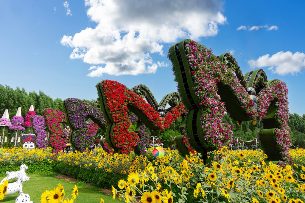 Ogród Dubai Miracle Garden tworzą setki milionów roślin zielonych i kwitnących.