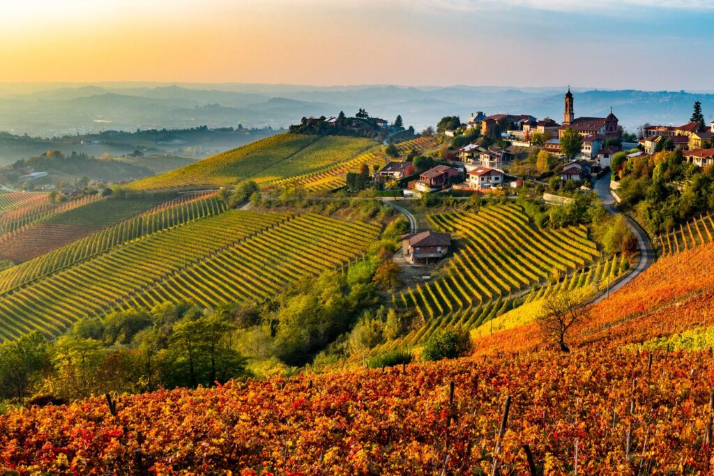 Winnice Langhe w Piemoncie słyną z win Barolo i jesiennych targów truflowych.