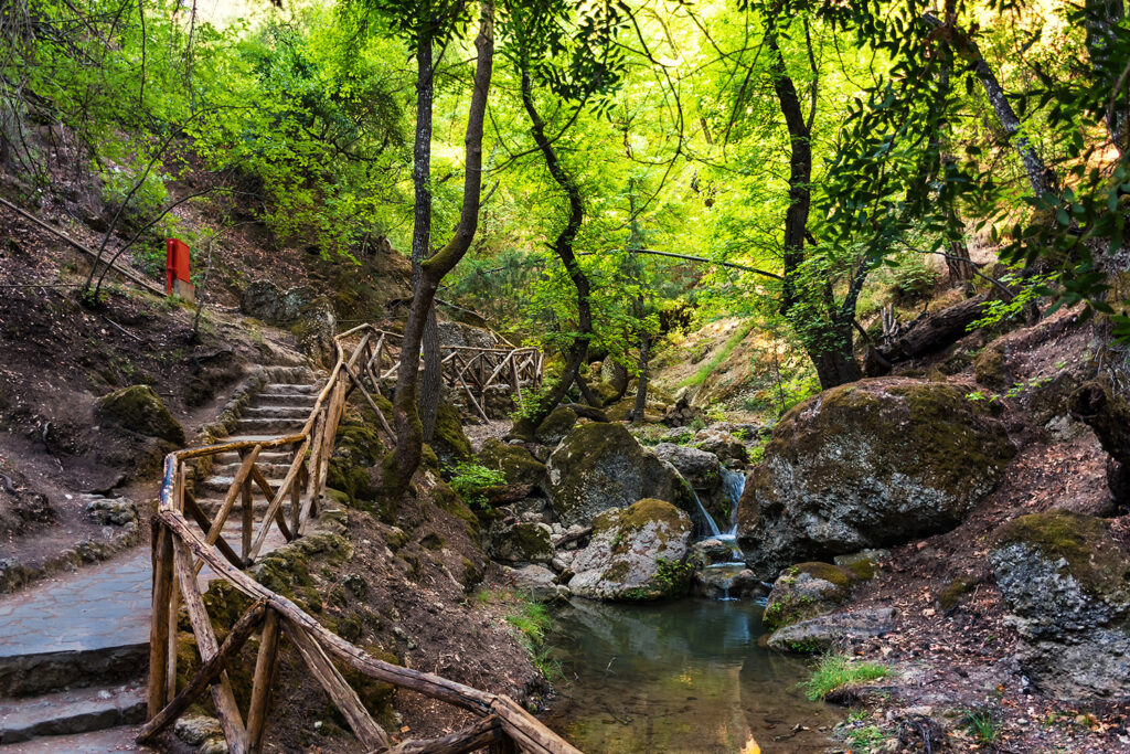 Dolina Motyli, Rodos
